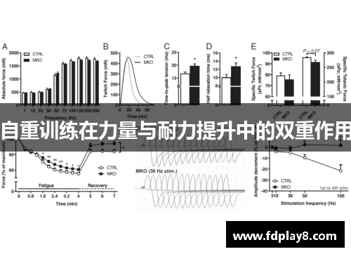 自重训练在力量与耐力提升中的双重作用